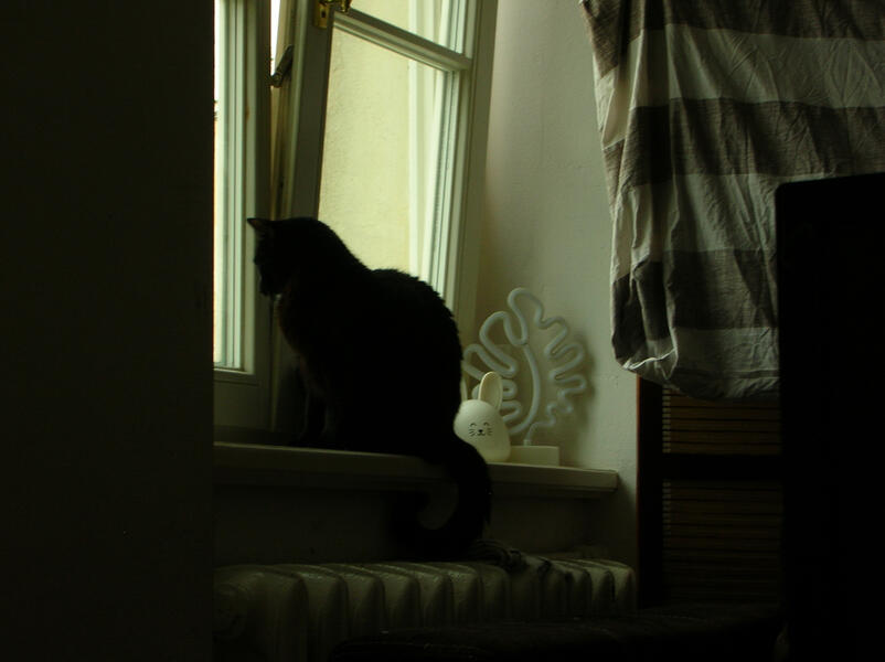 Untitled